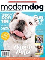 Modern Dog